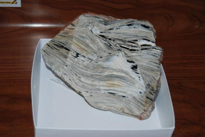Stromatolite specimen